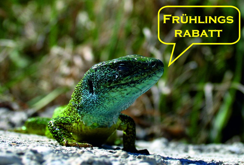 Frühlingsrabatt orig_oadaxl.jpg