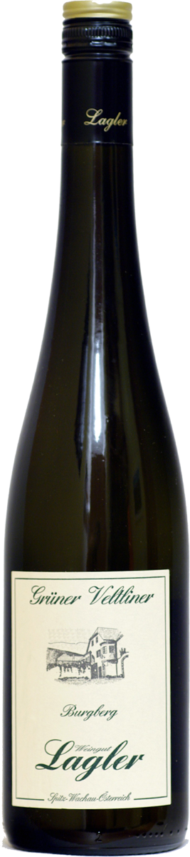 Grüner Veltliner Ried Burgberg Federspiel® 2020
